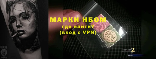 трава Белокуриха