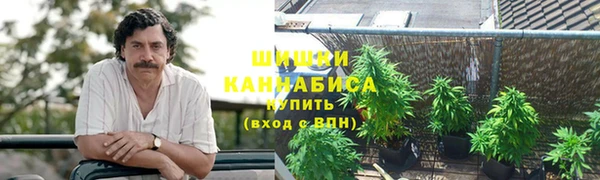 трава Белокуриха