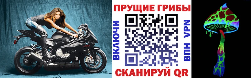 кракен маркетплейс  Ворсма  Псилоцибиновые грибы GOLDEN TEACHER 